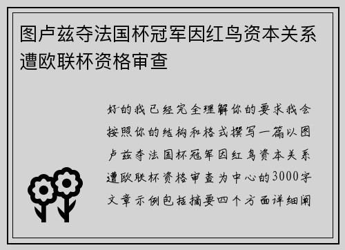 图卢兹夺法国杯冠军因红鸟资本关系遭欧联杯资格审查
