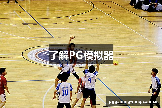 了解PG模拟器